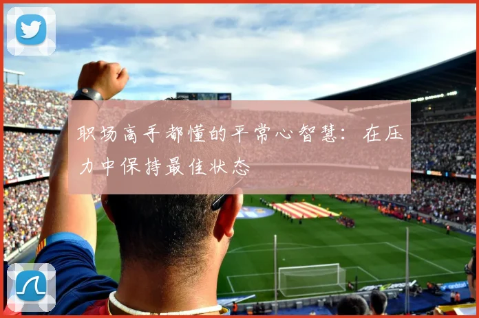 职场高手都懂的平常心智慧：在压力中保持最佳状态