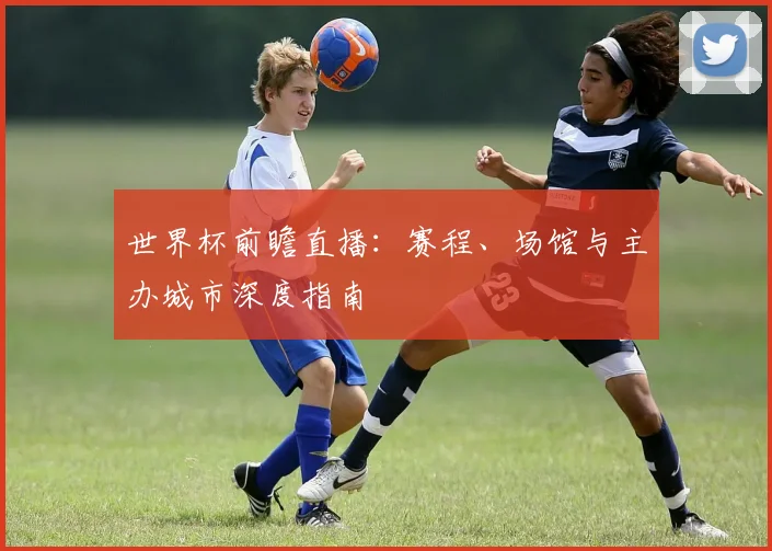 世界杯前瞻直播:赛程、场馆与主办城市深度指南