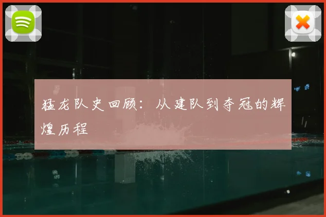 猛龙队史回顾：从建队到夺冠的辉煌历程